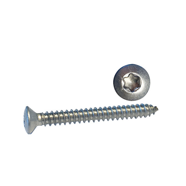 Skrue Linsehoved 3.5 x 19 A4 Torx ISO 14587 20stk